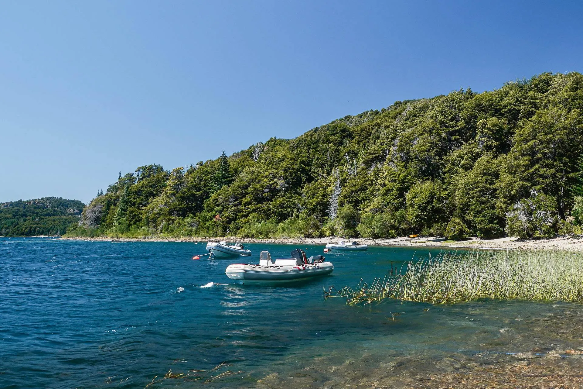 Paseo junto al lago Moreno