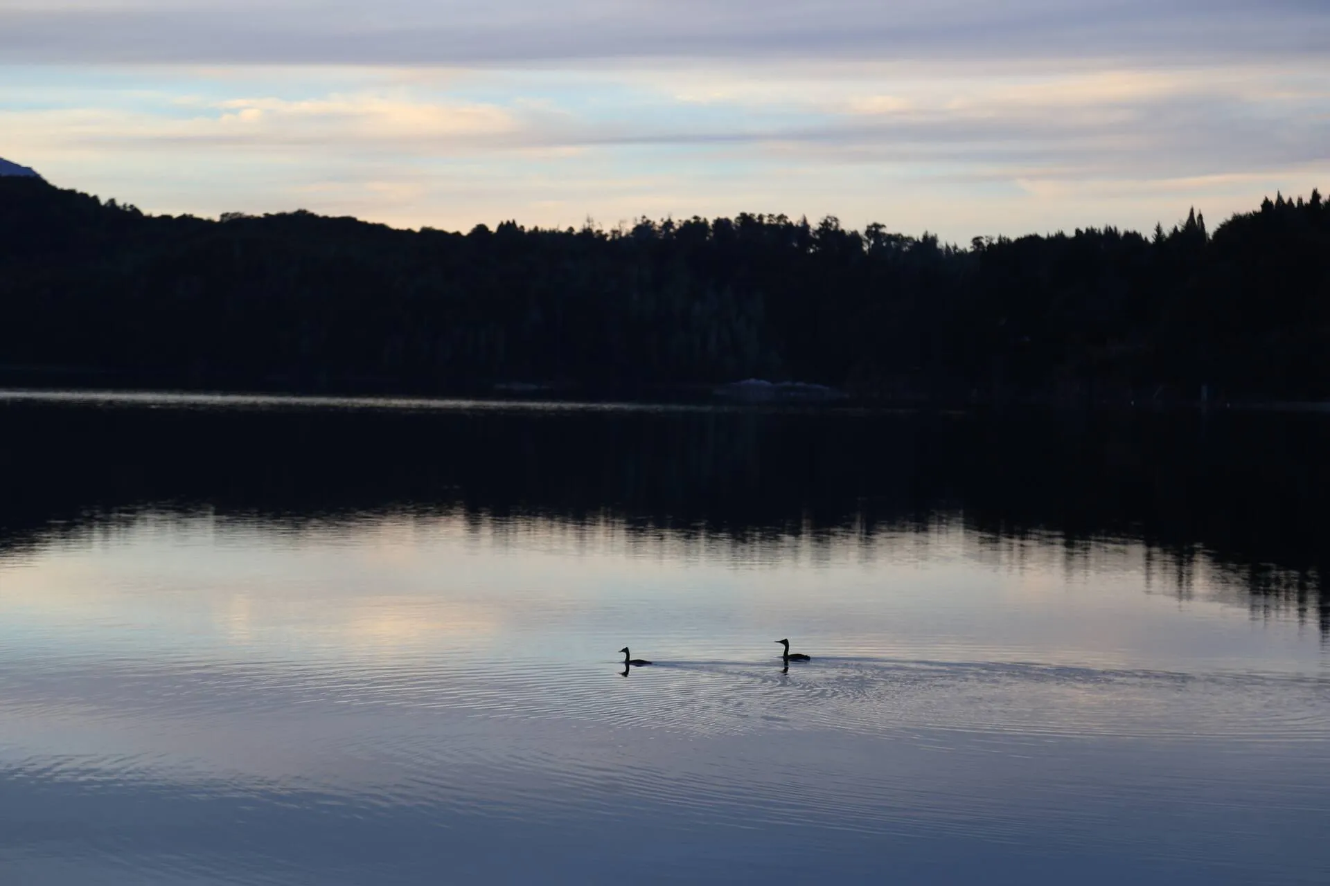 Paseo junto al lago Moreno