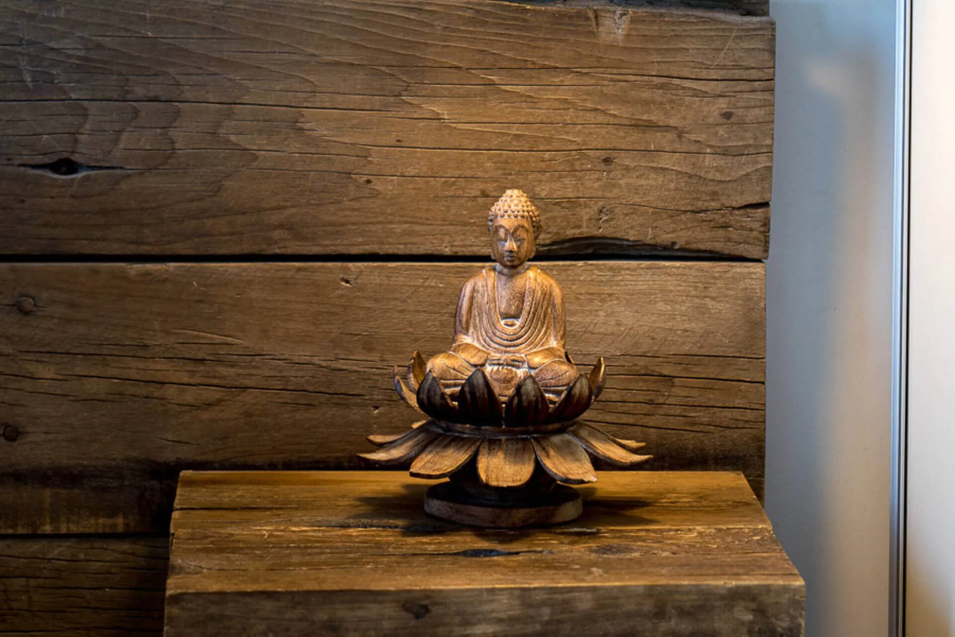 Ambiente departamento Premium