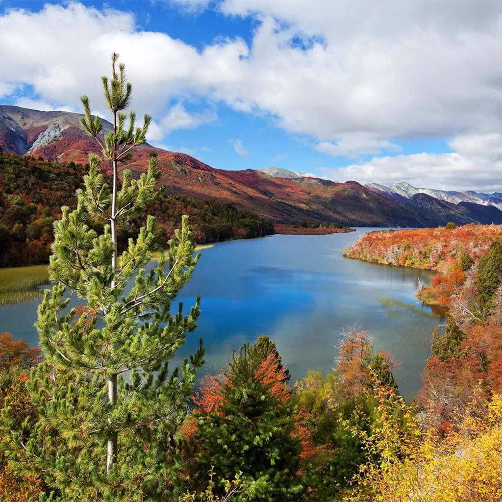 El otoño en Bariloche