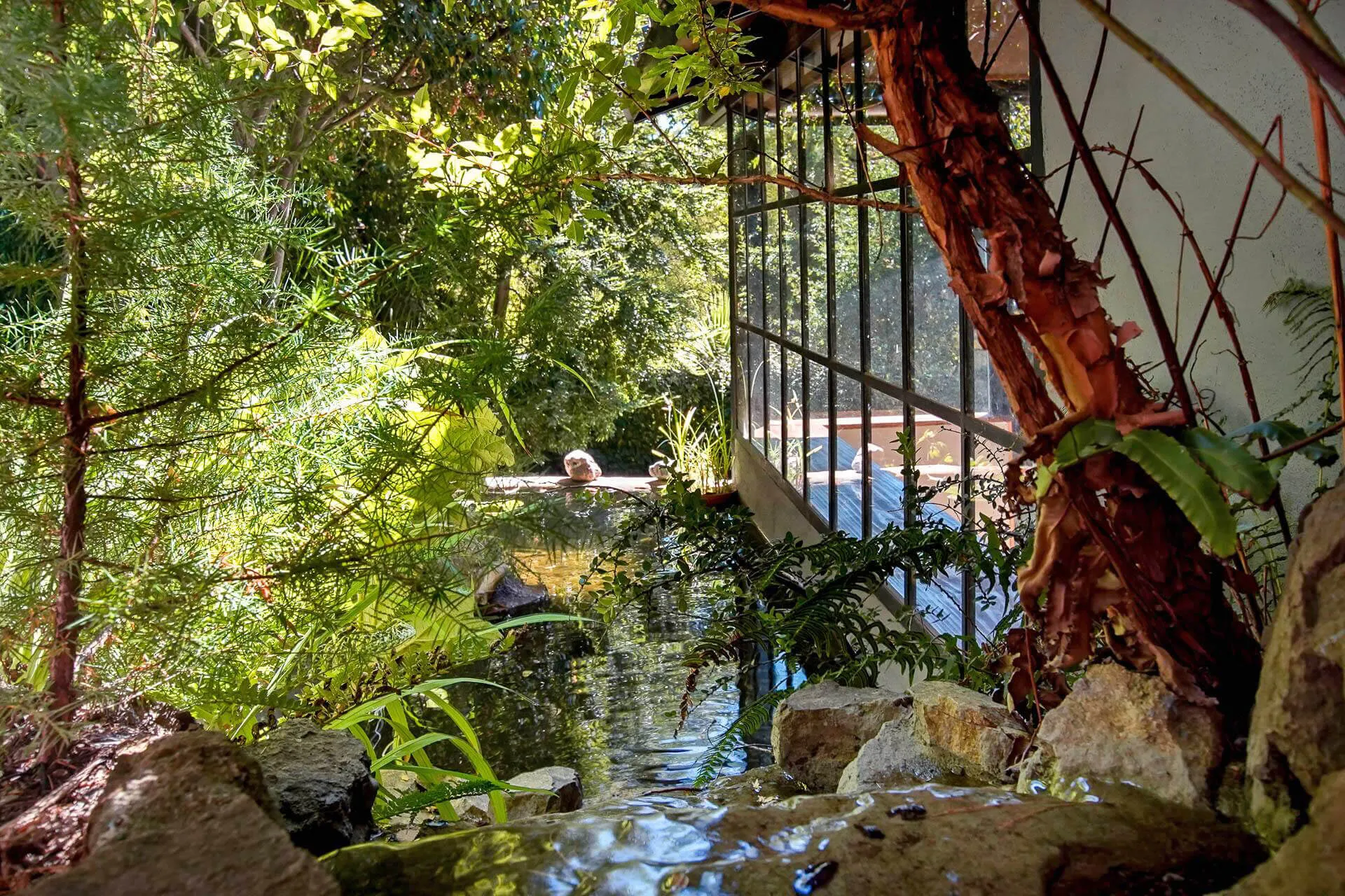 Jardín Casa de Los Peces