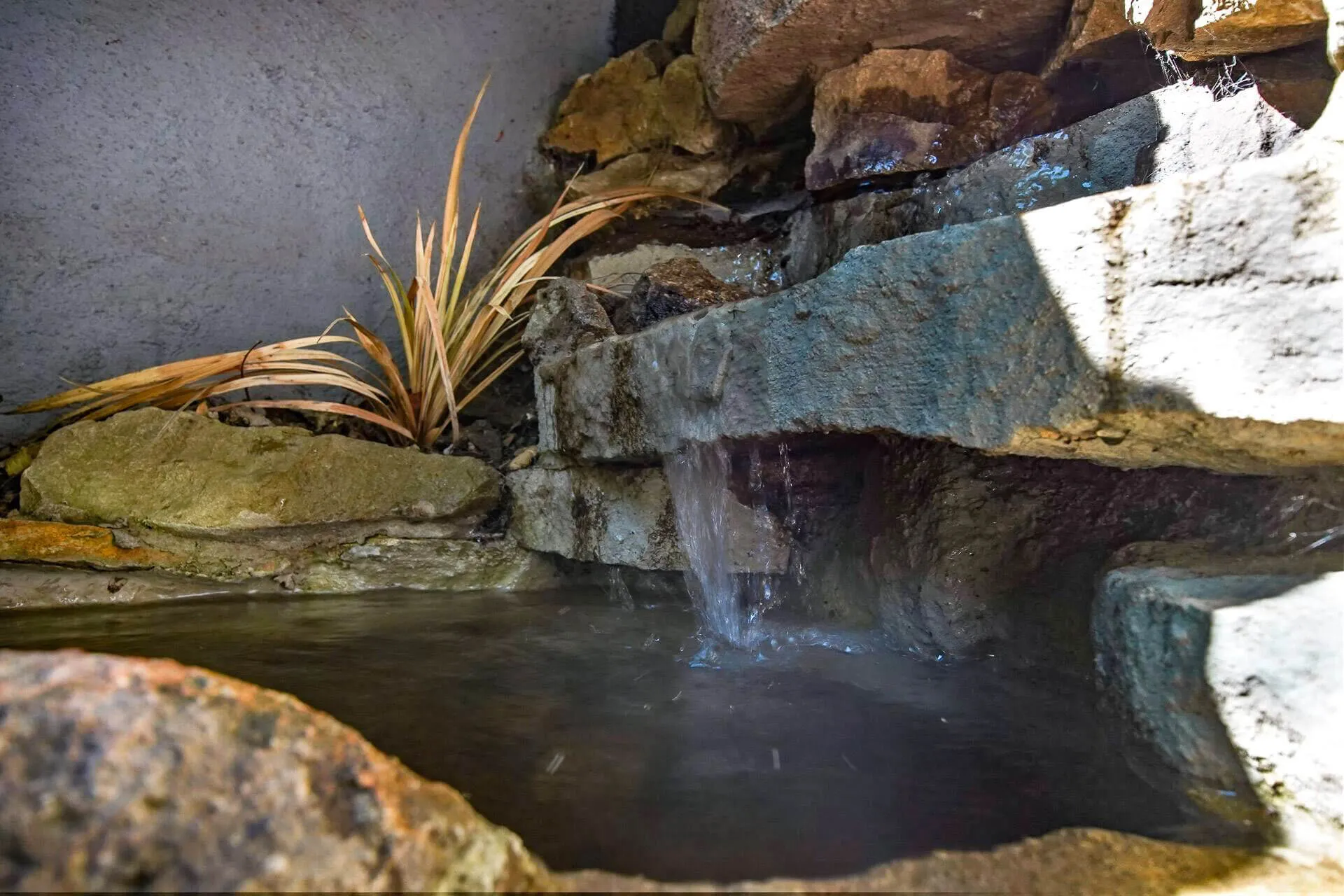 Jardín Casa de Los Peces