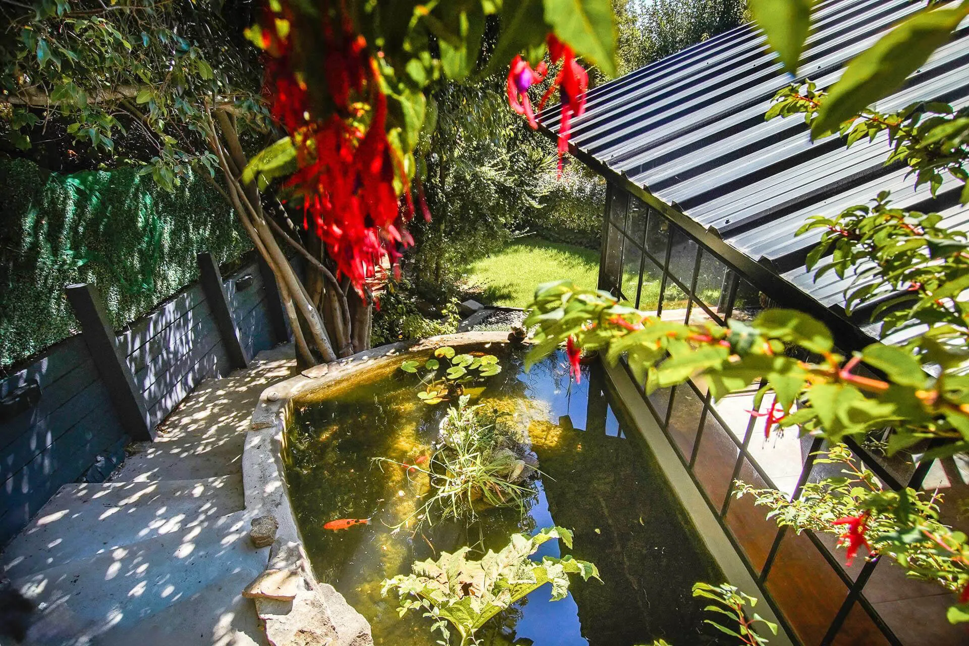 Jardín Casa de Los Peces