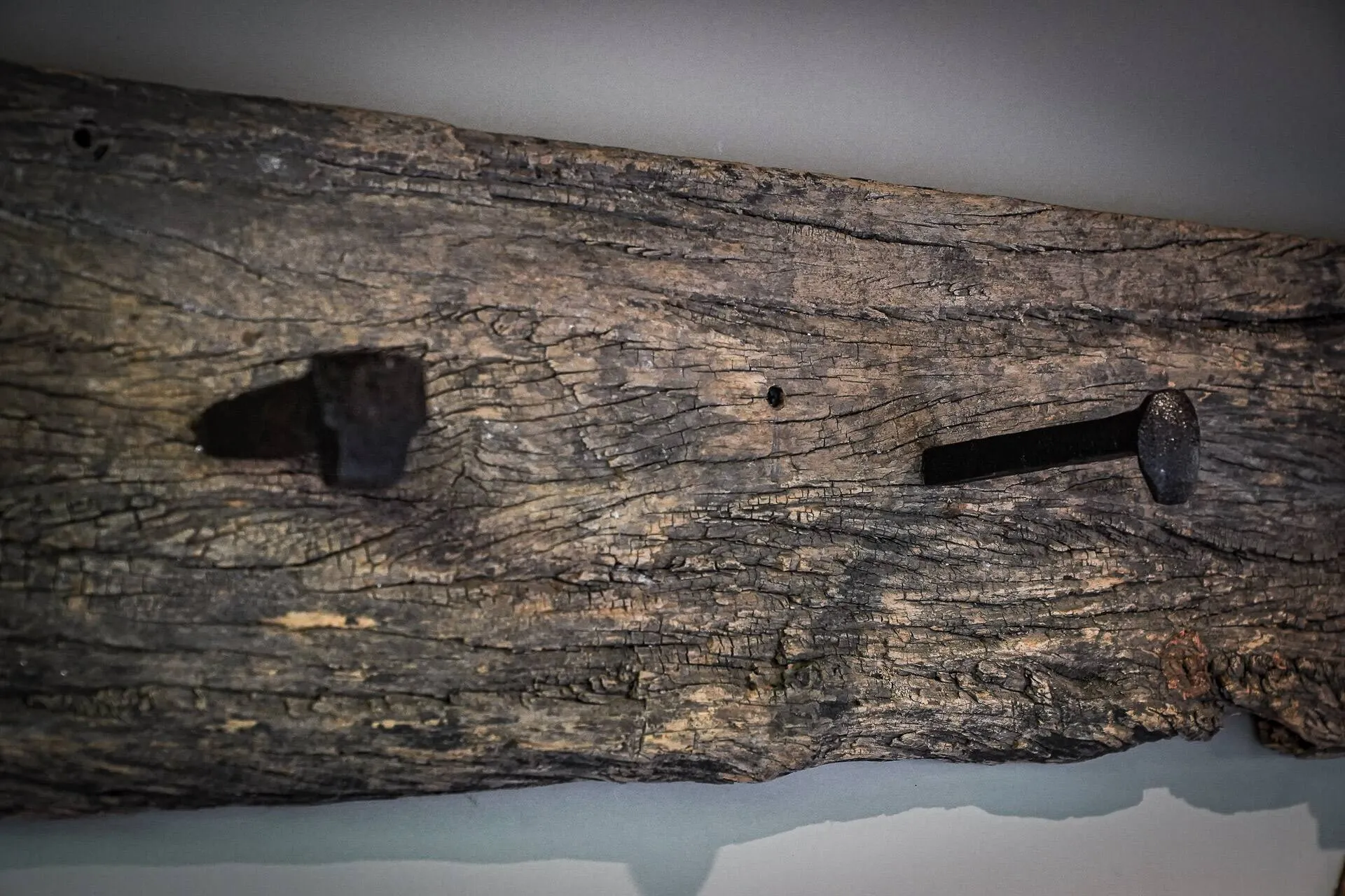 Living Casa de Los Peces