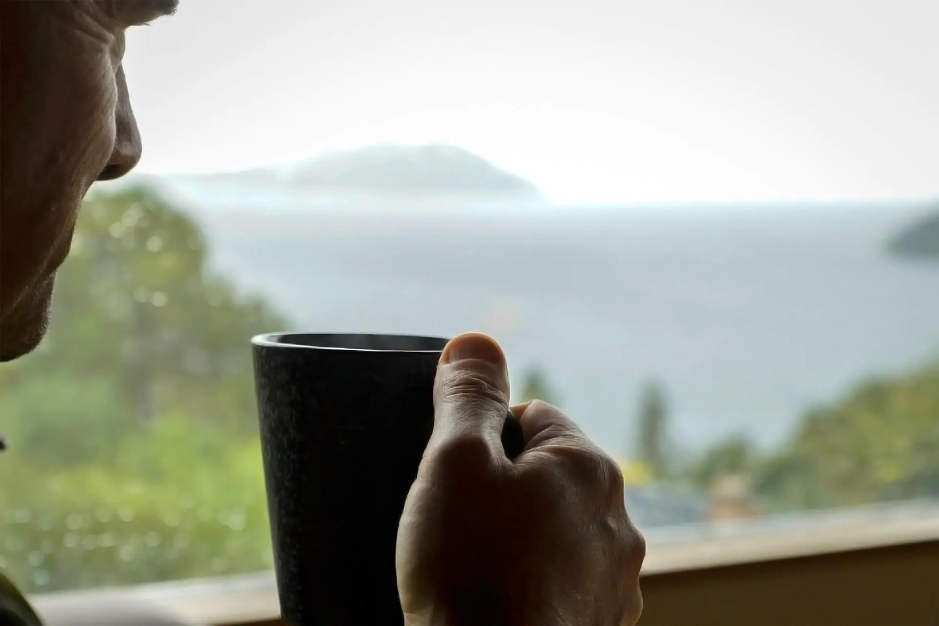 Vista Casa de Los Peces